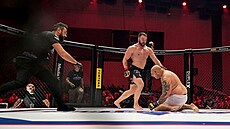 Na galave�erech Clash of the Stars m��e bez p�ehán�ní startovat opravdu...