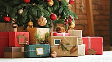 Vánoční dárky (ilustrační foto) | na serveru Lidovky.cz | aktuální zprávy