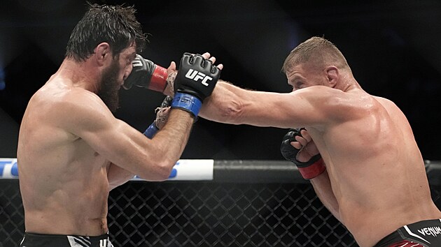 UFC 282: zpas Blachowicze s Ankalajevem (blo-ern kraasy).