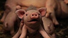 Hravý snímek, nominovaný na Evropský animovaný film roku, nato�ila holandská...