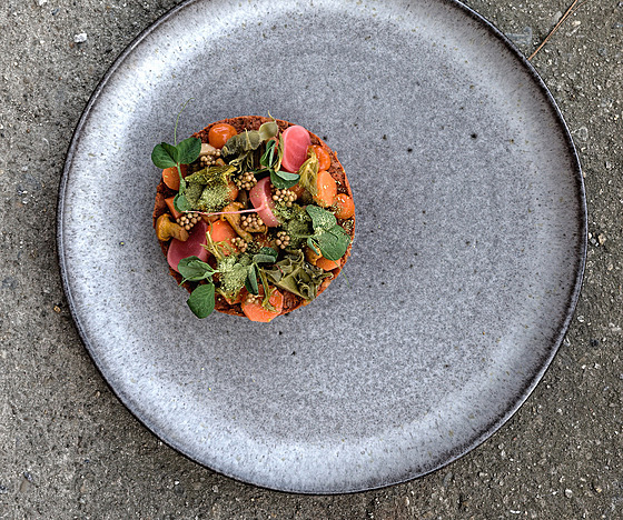 Variace na tatarák.