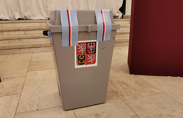 Hledám obsluhu. V Česku i Německu se stále víc voličů cítí osiřele