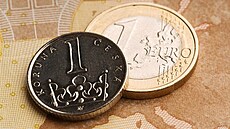 Koruna vs. euro.