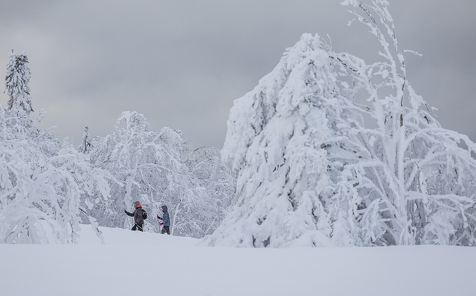 Zima ukáže na Silvestra a Nový rok svou sílu. Předpověď slibuje sníh a mráz