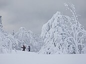 Krásná �ladovská� zima na Serlichu v Orlických horách.