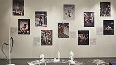 Výstava �eská krajina