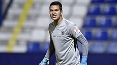 Branká� Liberce Filip Nguyen.