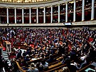 Protesty ve francouzském parlamentu pi eení dchodové reformy.