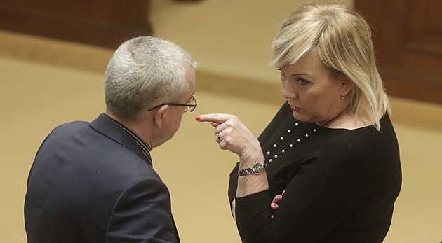 Trapnost života poslance. Vhodnou výši platů ústavních činitelů musí rozhodnout oni sami