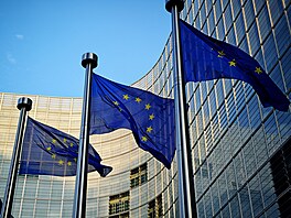 Vlajky EU p�ed bruselským sídlem Evropské komise