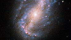 Vědci objevili 39 dosud neznámých galaxií. ‚Jejich odhalení jde úplně proti všemu, co jsme dosud věděli‘