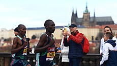 Tradi�ní pra�ský p�lmaraton v roce 2023.