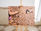 Výstava vále�ných fotografií v kostele sv. Ond�eje v Bu�i