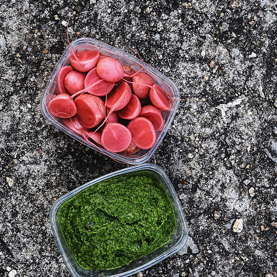 Jarní tiplavost. erstvé edkvikové listy nevyhazujte  hodí se na pesto, ale...