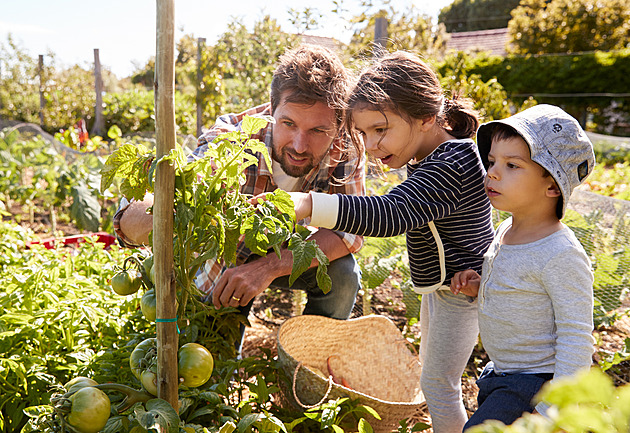 Pozor na jedovaté postřiky, zbavit se hmyzu a plísní nemusí být tak těžké. Poradíme vám, jak na to