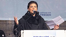 Sahra Wagenknechtová patří ke kontroverzním postavám německé politiky.
