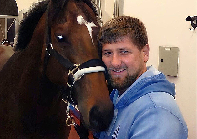 Kadyrov má v Česku ještě jednoho koně, Mikhaila Glinku. Bývalý nejžádanější hřebec v zemi mu vydělal 12 milionů