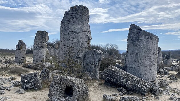 Bulharsko m na seznamu svtovho ddictv UNESCO deset zpis (mezi nejznmj pat antick msto Nesebar i Rilsk klter). A brzy k nim mon pibyde i Kamenn les  od roku 2011 je na tzv. pedbnm seznamu svtovho ddictv.