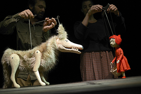 Vlk to zkouí na Karkulku. Liberecké Naivní divadlo bude na Mateince...