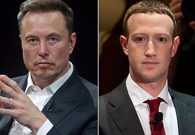 UFC chce Muska s Zuckerbergem v kleci. Experti: Lidé bohužel zajímá bizár více než sport, pomoct by to ale mohlo