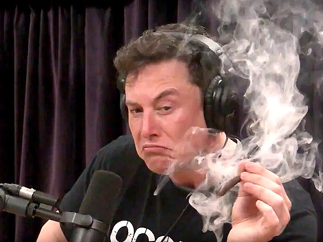 Extáze v Silicon Valley. Mozky byznysmenů včetně Muska pohánějí psychedelika, chtějí něco extra, tvrdí WSJ