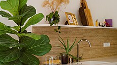 Byt Lenky Kerlické je plný kvtin