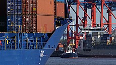 Mezinárodní kontejnerové přístavy, jako je ten v Hamburku (na snímku),...