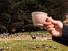 Kavárna Sovi�s Coffee �e�ky Pavlíny Nairn se nachází na trase NC500 spojující...