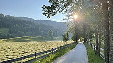 Šenkova domačija, Slovinsko - příjezdová cesta k rodinné farmě v ranním slunci