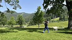 Šenkova domačija, Slovinsko, ráno na rodinné farmě potkáte ovce vypuštěné na...