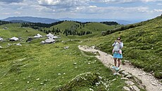 Slovinsko Veliká Planina je protkána turistickými chodníčky.