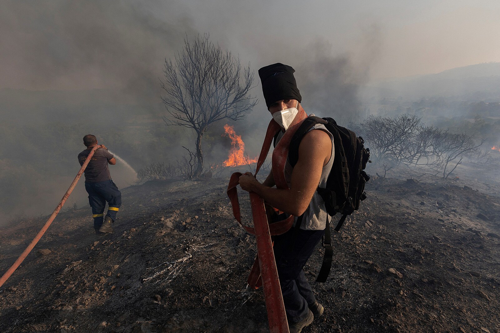 Žháři, klima a suché chrastí. Proč jsou řecké požáry lidsky stále  nepříjemnější a mediálně vděčnější | Svět | Lidovky.cz