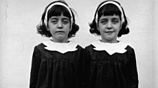 Identická dvojčata. Fotografie Diany Arbusové, Roselle New Jersey 1967. The...