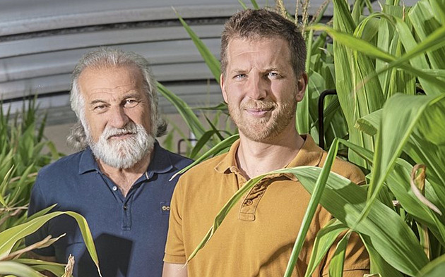 Hledáme, čím půdě nahradit hnůj a jak bojovat se škodlivými kontaminanty, říkají zemědělští experti