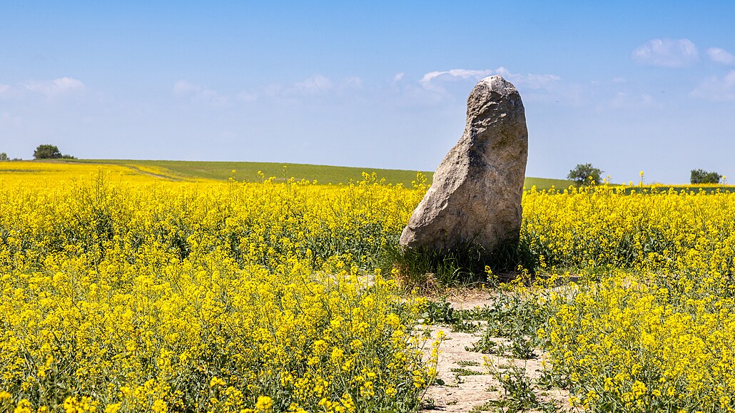 Menhir p�ezdívaný Zakletý mnich u Drahomy�le na �atecku pat�í k nejznám�j�ím u...