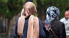 Vce ne tvrtina muslim ve Francii odmt integraci