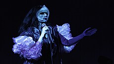 Islandská zpěvačka Björk a její spoluhráči během vídeňské zastávky turné...