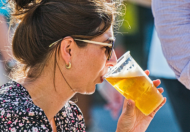 Revoluční nápad, jak zdanit v Česku alkohol. Co o něm soudí experti?