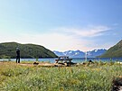 Pozorování kolonie rybák, Norsko ervenec 2023
