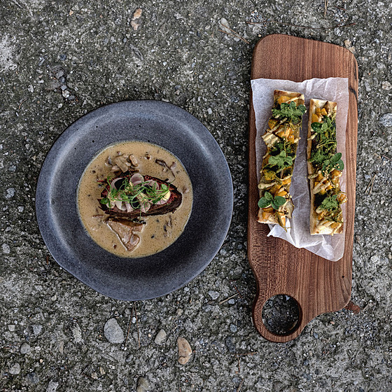 Hov�zí karabá�ek na houbách