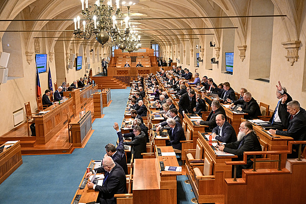 Istanbulská úmluva rozhádala vládní strany. Odpůrcům vadil termín „gender“, zastánci mluví o mezinárodní ostudě
