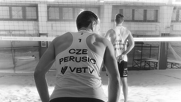 Ond�ej Peru�i� a David Schweiner jsou ��aduj�c�mi mistry sv�ta v pl�ov�m volejbale. Titul vybojovali loni v Mexiku. Letos svou pozornost up�naj� zejm�na k Letn�m olympijsk�m hr�m v Pa��i. V���, �e pokud bude p��prava prob�hat podle pl�nu, maj� �anci usp�t.