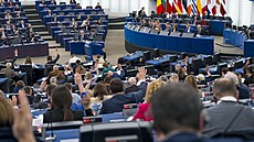 Ve vedení EP stojí 20 lidí