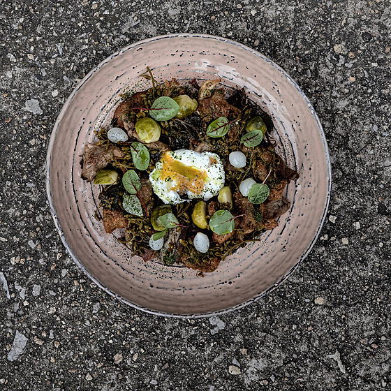 Panzanella s hlívou a r��i�kovou kapustou