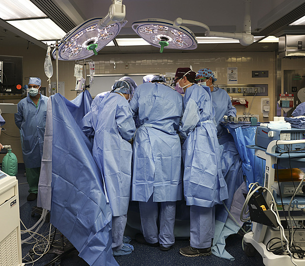 Když pojištění nestačí. Americká Národní nadace pro transplantace končí a tisíce pacientů zůstávají bez léčby