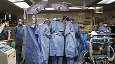 Chirurgové v Massachusettské veobecné nemocnici provádjí první transplantaci...