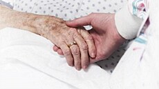 Vtina Nmc podporuje legalizaci eutanazie