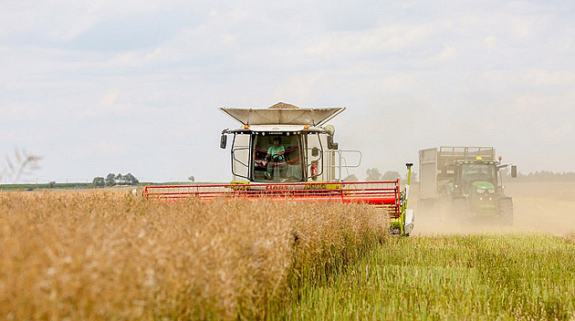 Jak nastartovat české zemědělství k rentabilitě? Řešením je návrat ke kořenům