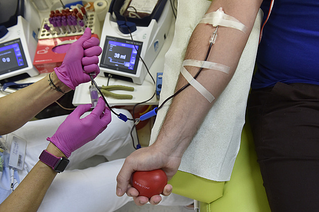 Češi darují krev častěji, než je povoleno. Riskují zdraví kvůli penězům, nově je ohlídá registr dárců