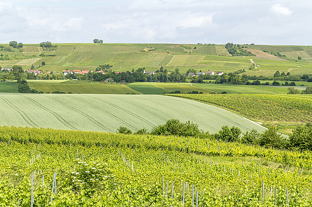 Nejlepší investicí je pole. Pokud nutně nemusíte, nezbavujte se ho, radí odborníci